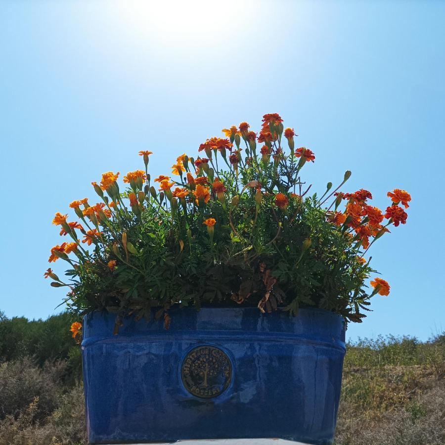 Casa Kilmar Bed & Breakfast Vejer de la Frontera Eksteriør bilde