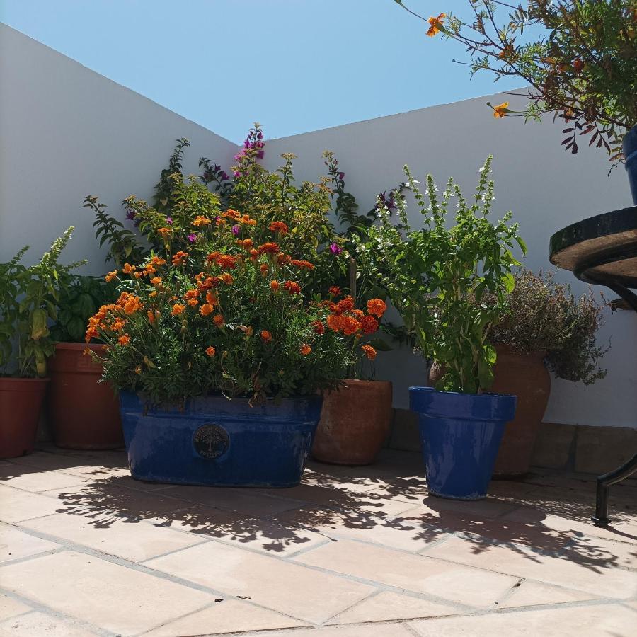 Casa Kilmar Bed & Breakfast Vejer de la Frontera Eksteriør bilde